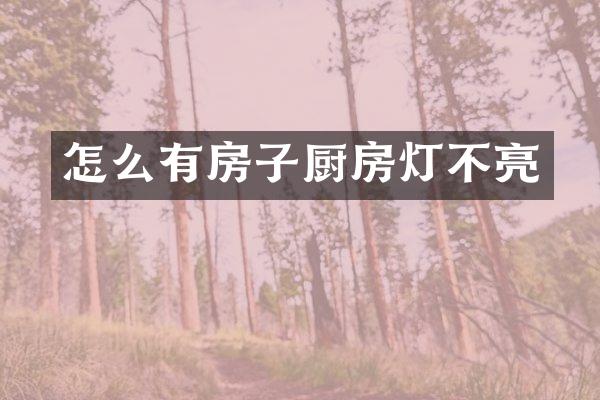 怎么有房子厨房灯不亮