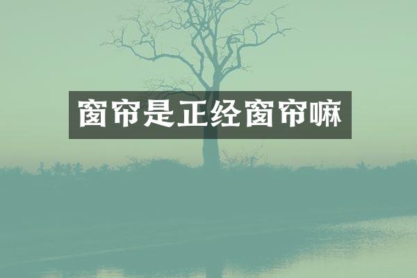 窗帘是正经窗帘嘛
