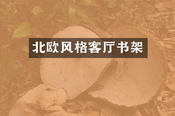 北欧风格客厅书架