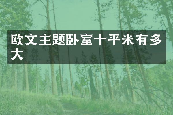 欧文主题卧室十平米有多大