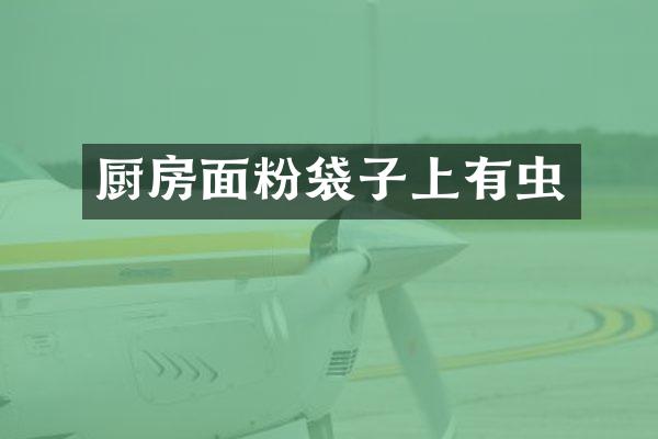 厨房面粉袋子上有虫