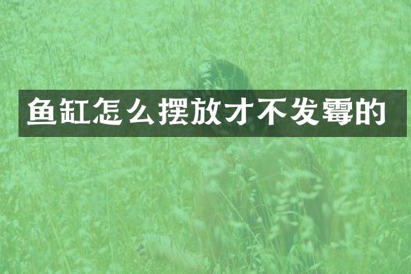 鱼缸怎么摆放才不发霉的