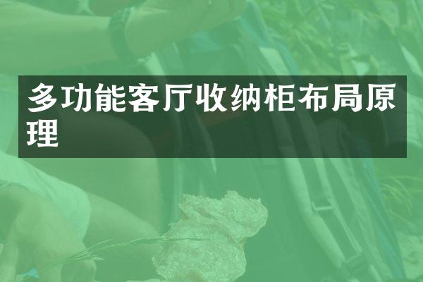 多功能客厅收纳柜布局原理