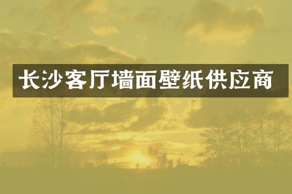 长沙客厅墙面壁纸供应商