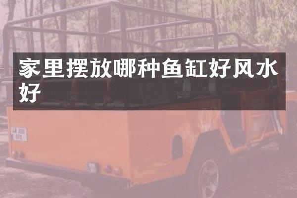 家里摆放哪种鱼缸好风水好