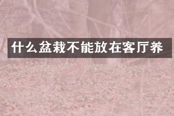 什么盆栽不能放在客厅养