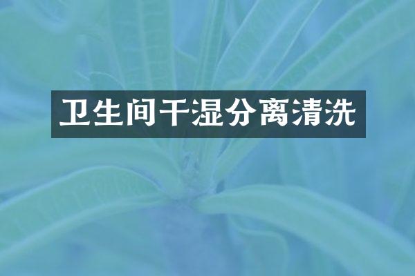 卫生间干湿分离清洗