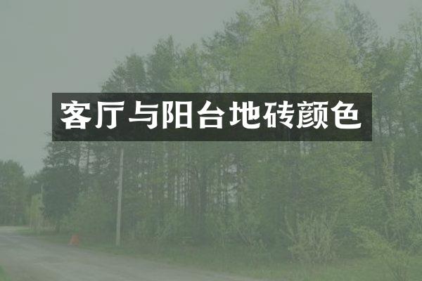 客厅与阳台地砖颜色