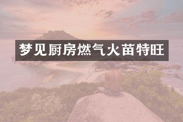 梦见厨房燃气火苗特旺