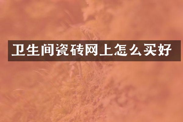 卫生间瓷砖网上怎么买好