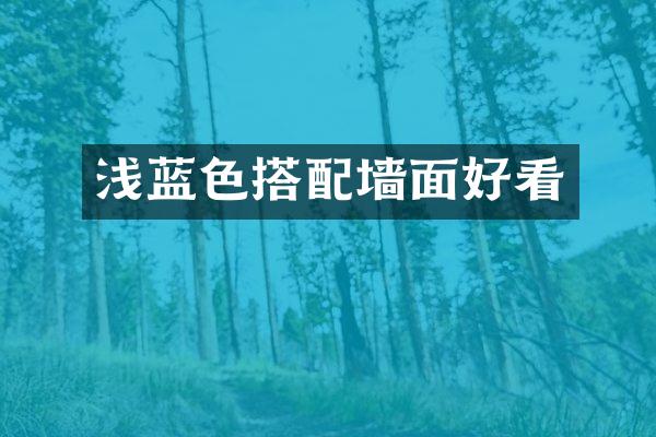 浅蓝色搭配墙面好看