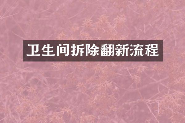 卫生间拆除翻新流程