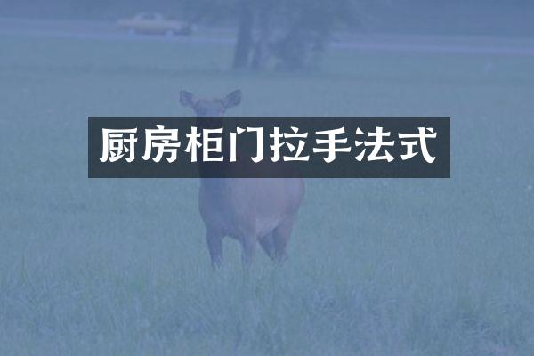 厨房柜门拉手法式