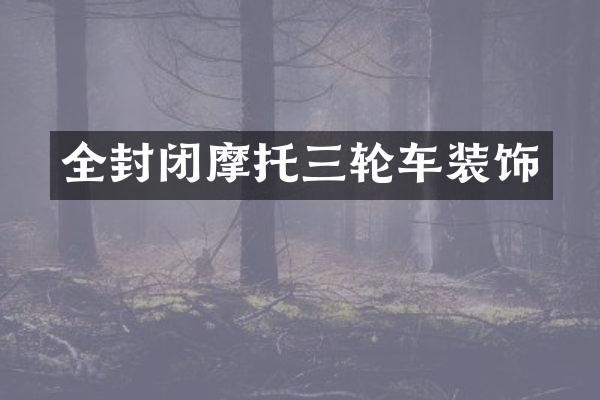 全封闭摩托三轮车装饰