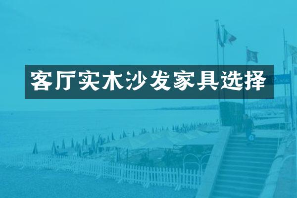客厅实木沙发家具选择