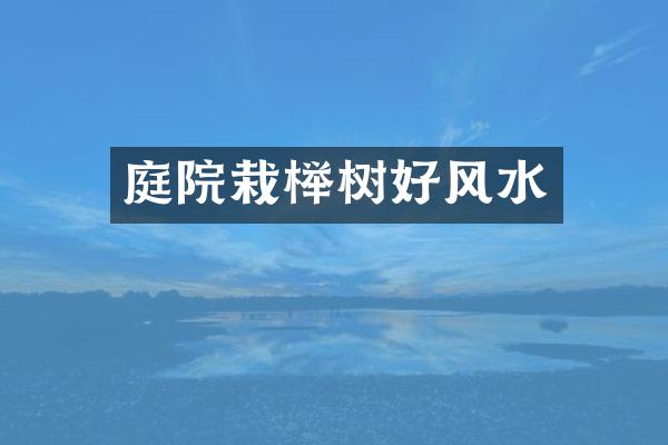 庭院栽榉树好风水