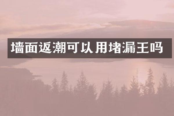 墙面返潮可以用堵漏王吗