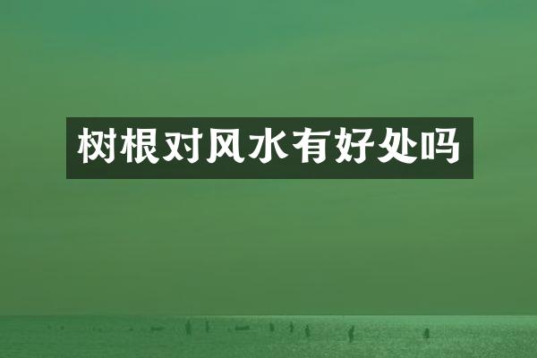 树根对风水有好处吗