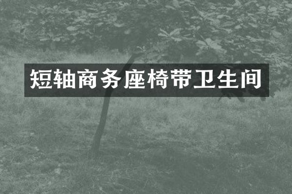 短轴商务座椅带卫生间