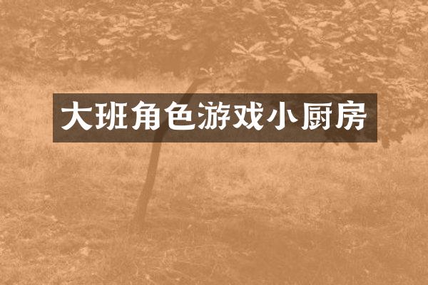 大班角色游戏小厨房