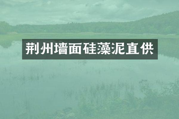 荆州墙面硅藻泥直供