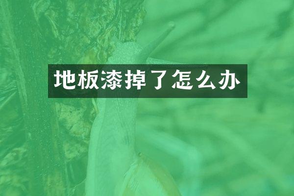地板漆掉了怎么办