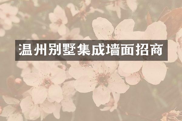 温州别墅集成墙面招商