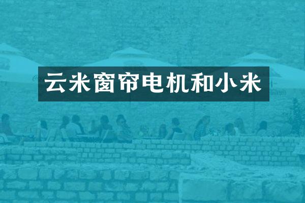 云米窗帘电机和小米