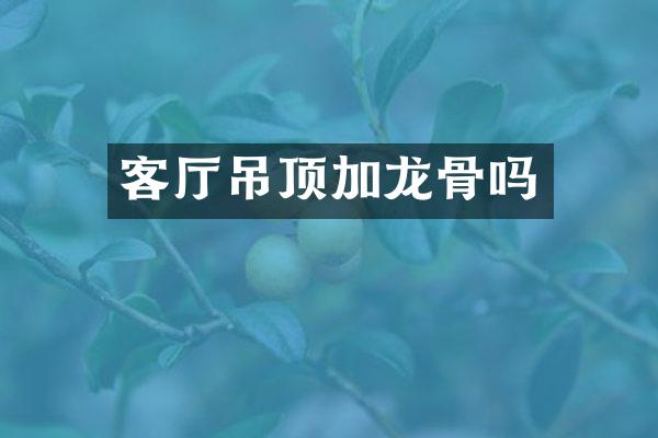 客厅吊顶加龙骨吗