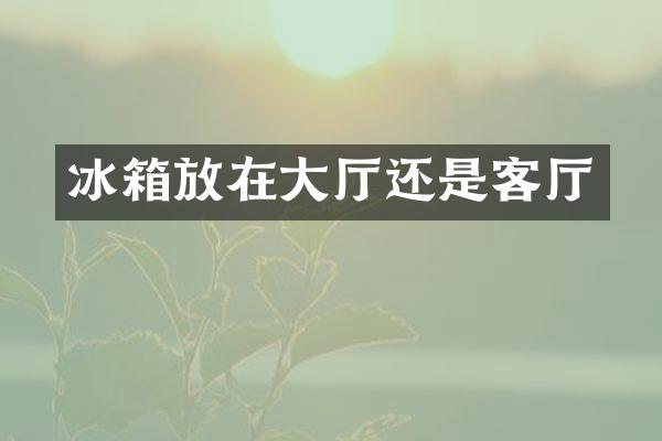 冰箱放在大厅还是客厅