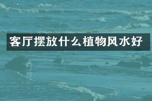 客厅摆放什么植物风水好