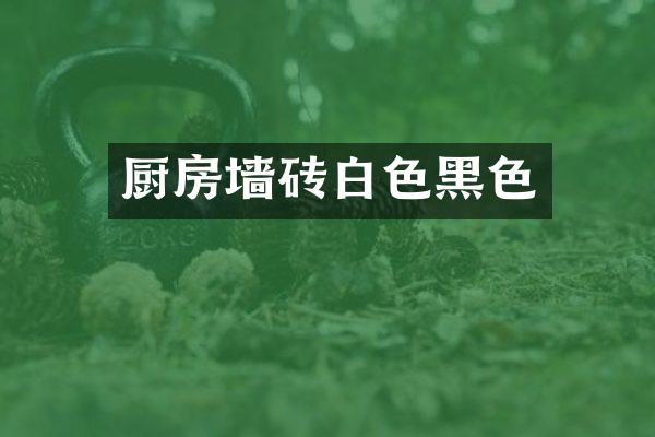 厨房墙砖白色黑色