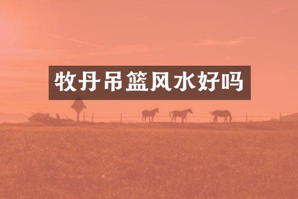 牧丹吊篮风水好吗