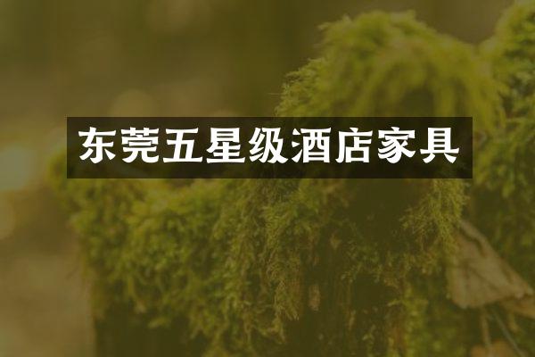 东莞五星级酒店家具