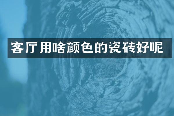 客厅用啥颜色的瓷砖好呢