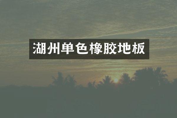 湖州单色橡胶地板