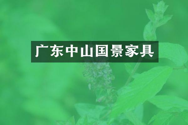 广东中山国景家具