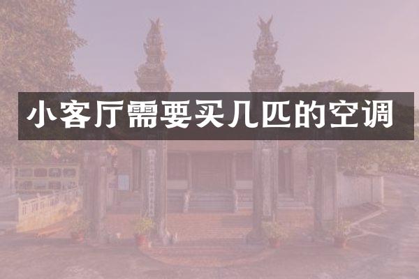 小客厅需要买几匹的空调