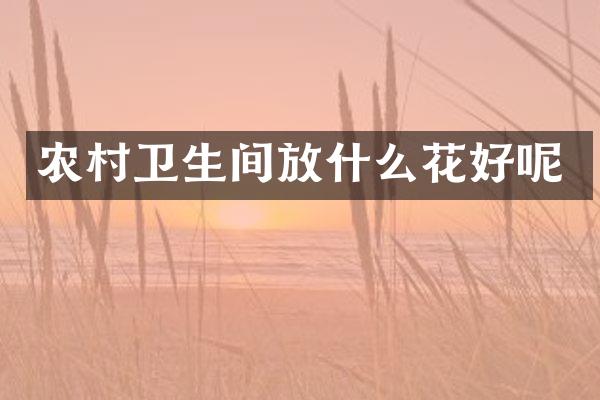 农村卫生间放什么花好呢