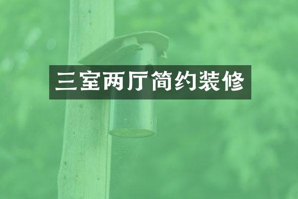 三室两厅简约装修