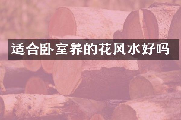 适合卧室养的花风水好吗