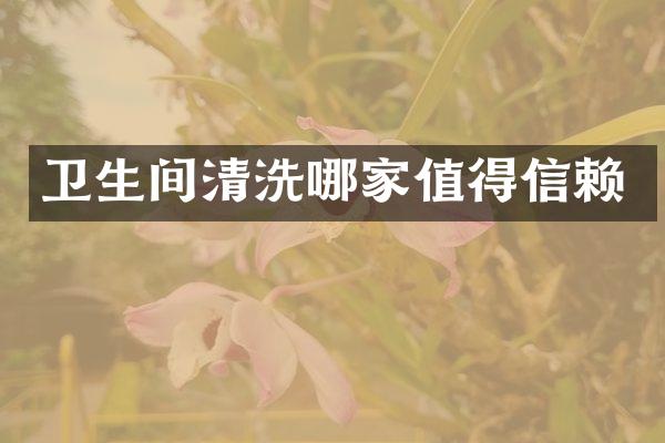 卫生间清洗哪家值得信赖