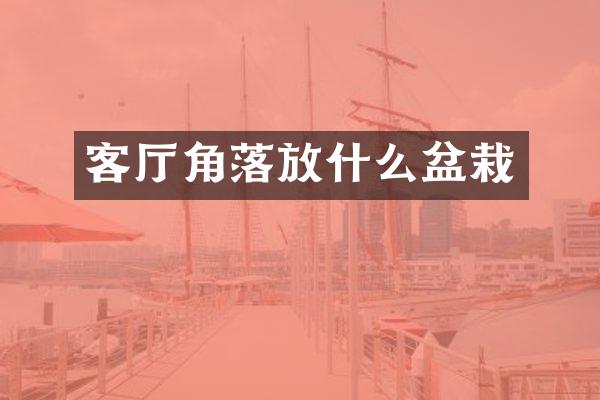 客厅角落放什么盆栽