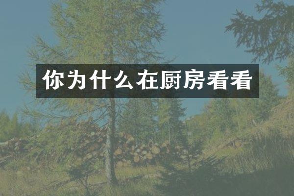 你为什么在厨房看看