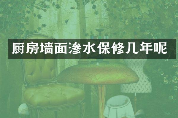厨房墙面渗水保修几年呢