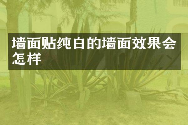 墙面贴纯白的墙面效果会怎样