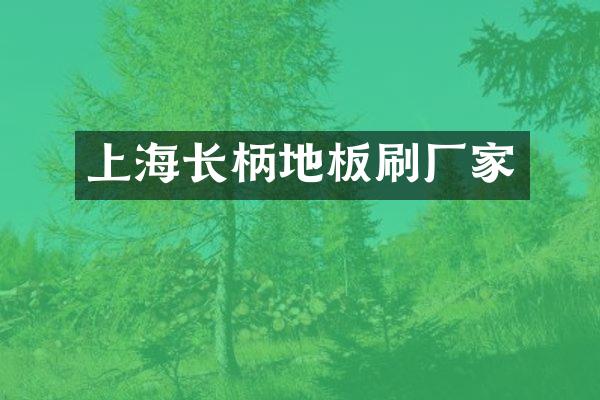 上海长柄地板刷厂家
