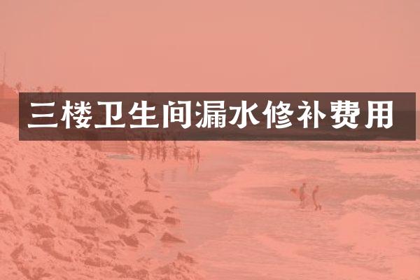 三楼卫生间漏水修补费用