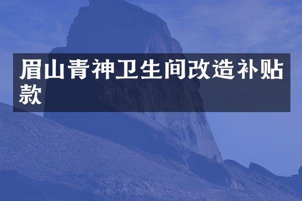 眉山青神卫生间改造补贴款