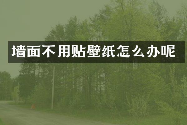 墙面不用贴壁纸怎么办呢